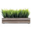 Jerrold 14 cm Artificial Grass in Planter