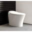 Dual-Flush Elongated Bidet Toilet (Seat Included)
