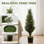 Plant-1687928900