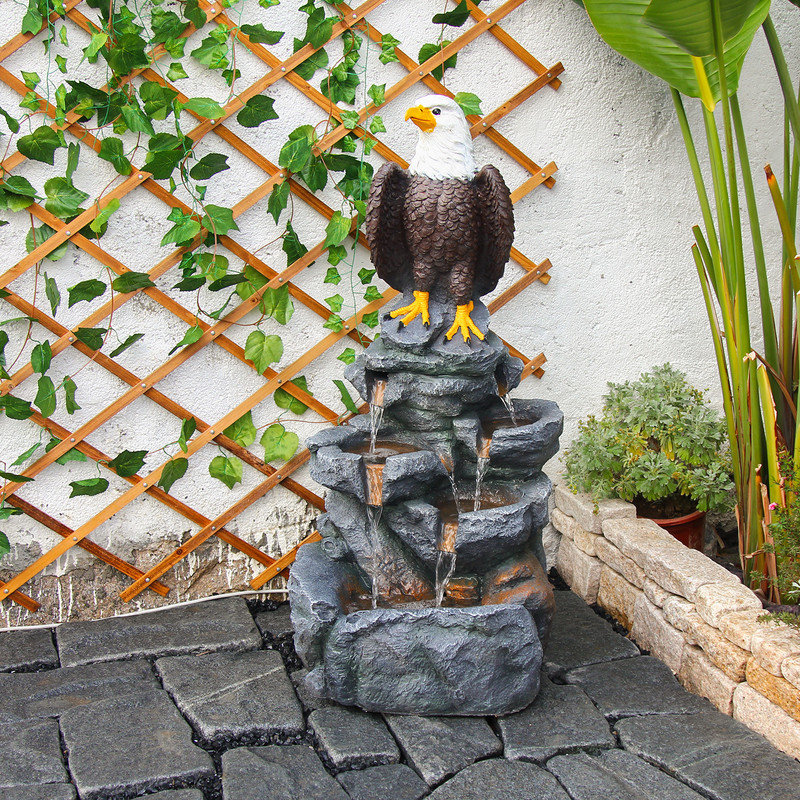 Fontaine à eau Bald Eagle