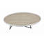 Allis Metal Finish Coffee Table