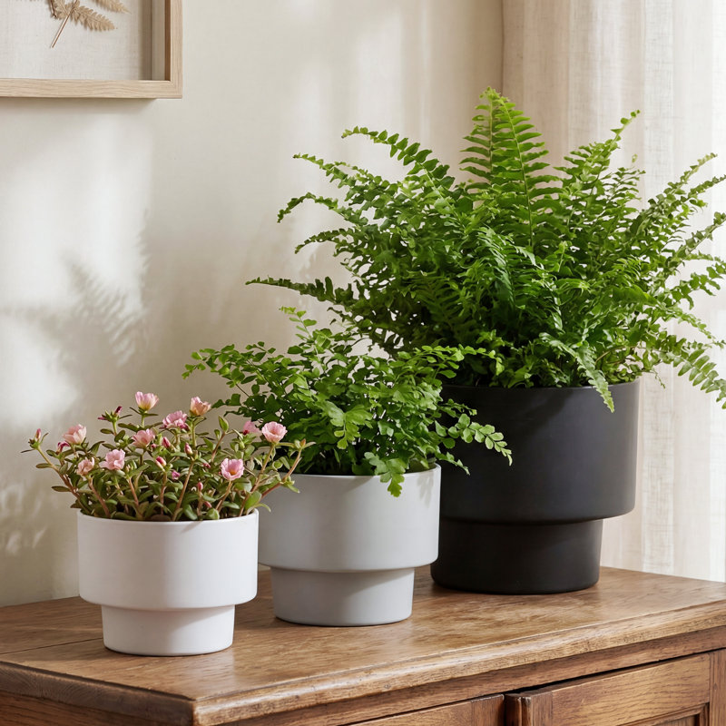 3-Piece Set PE Tiered Cylindrical Planters