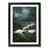 Black Framed