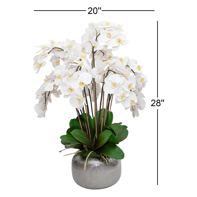 Orchidées blanches dans un pot argent artisanal