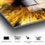Boze Print on Glass