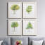 L'arbre I - ensemble de 4 reproductions d'art encadrées-1496819695-1506622916-1506622940