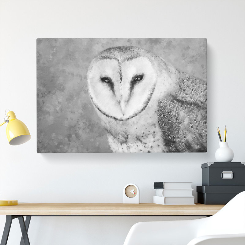 Barn Owl - Wrapped Canvas Painting, 40cm H x 60cm W x 3cm D