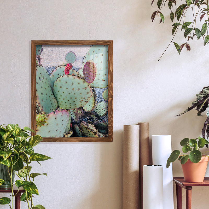 Rose vert cactus II encadré sur papier, H 15 po x l 12 po x P 1 po, Noyer