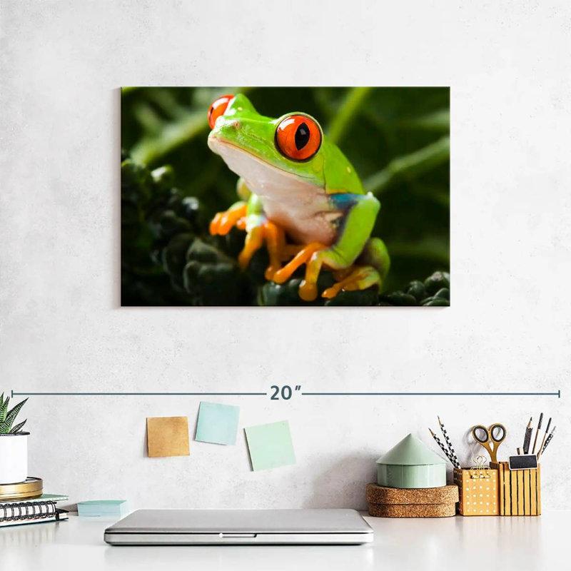 Brampt Tree Frog, 8" H x 12" W