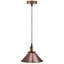 Plumeria 1 - Light Copper Cone Pendant