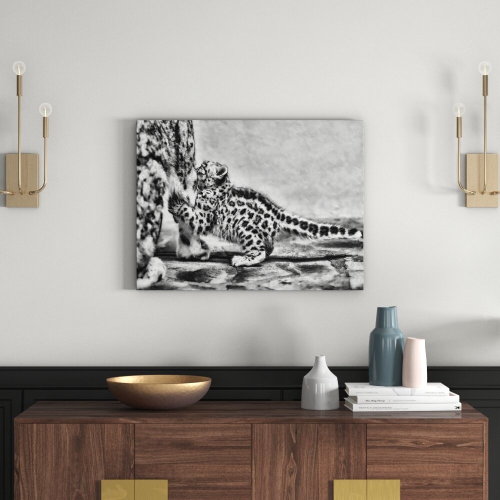 Leinwandbild Kleiner Leopard beim Spielen in Monochrom