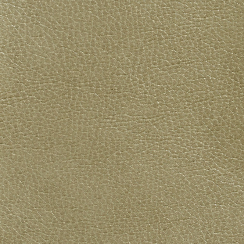 Emu lisse, Mousse