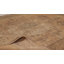 Distressed One-of-a-Kind 8'7X12'3 Hand Knotted Area Rug