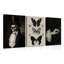 3 Piece Wrapped Canvas Print-1140905731