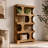 Practical Display Shelves,Bookshelf,S-Shaped Storage Bookcase