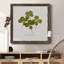 Toile encadrée Pressed Clover I-Premium - prête à être accrochée-1950035782-1950035788