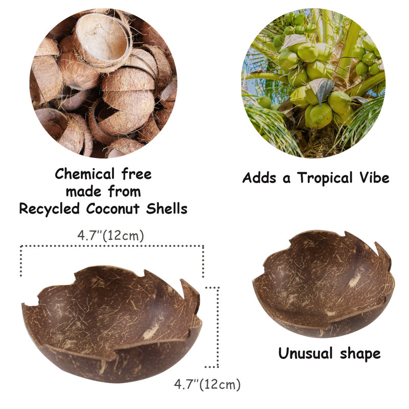 Bay Isle Home Derri Coconut Shell Serving Bowl