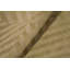 Hand-Knotted High-Quality Gold Area Rug