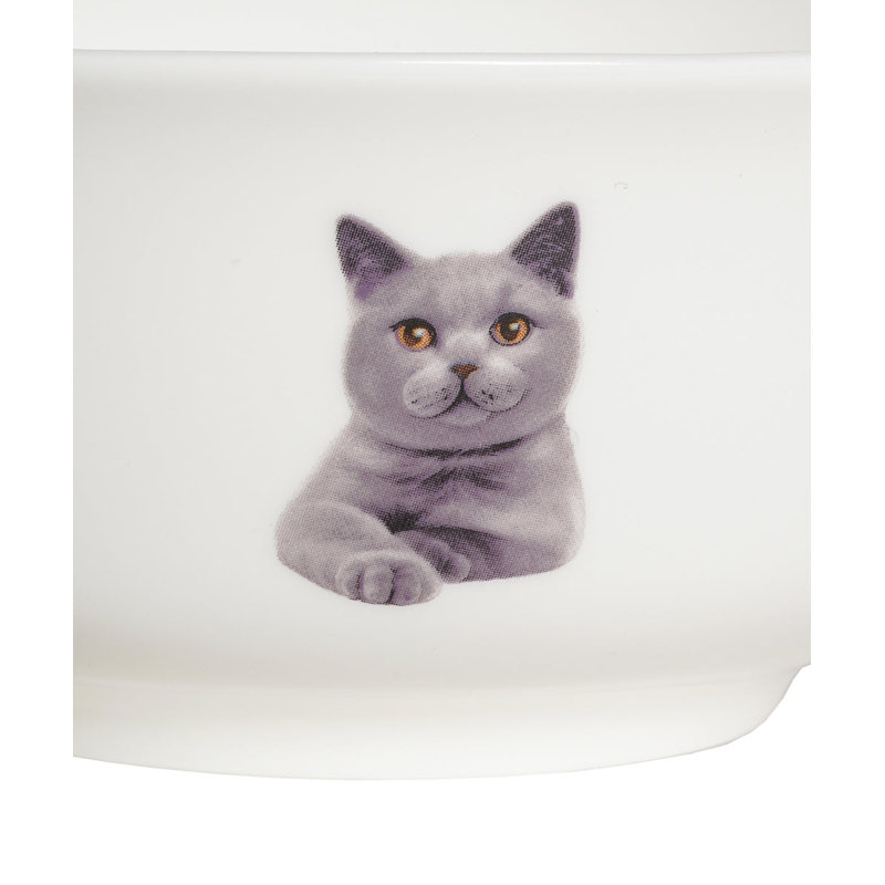 Bol en porcelaine - Chartreux