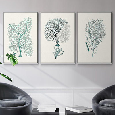 Antique Coastal Coral I, impression sur toile 3 pièces