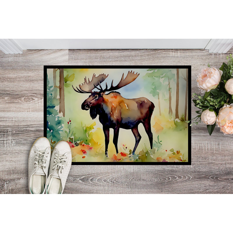 Ludmilla Non-Slip Doormat, l 24 po x L 36 po