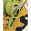 Tapis Canopes Taresha-1708619338