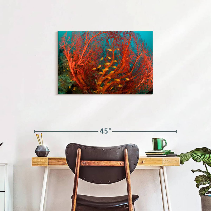 Fire Coral, 20" H x 30" W