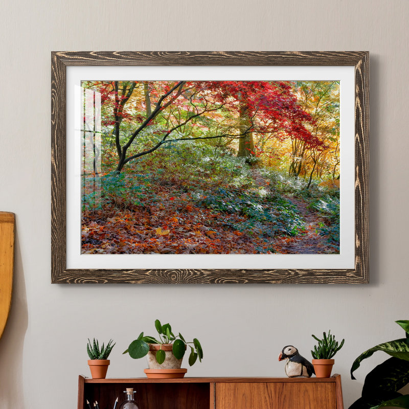 Secret Garden par J Paul - reproduction de photo sur papier encadrée, H 23,5 po x l 31,5 po x P 1,5 po, Noyer