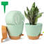 Borsari Pot Planter-1704381924