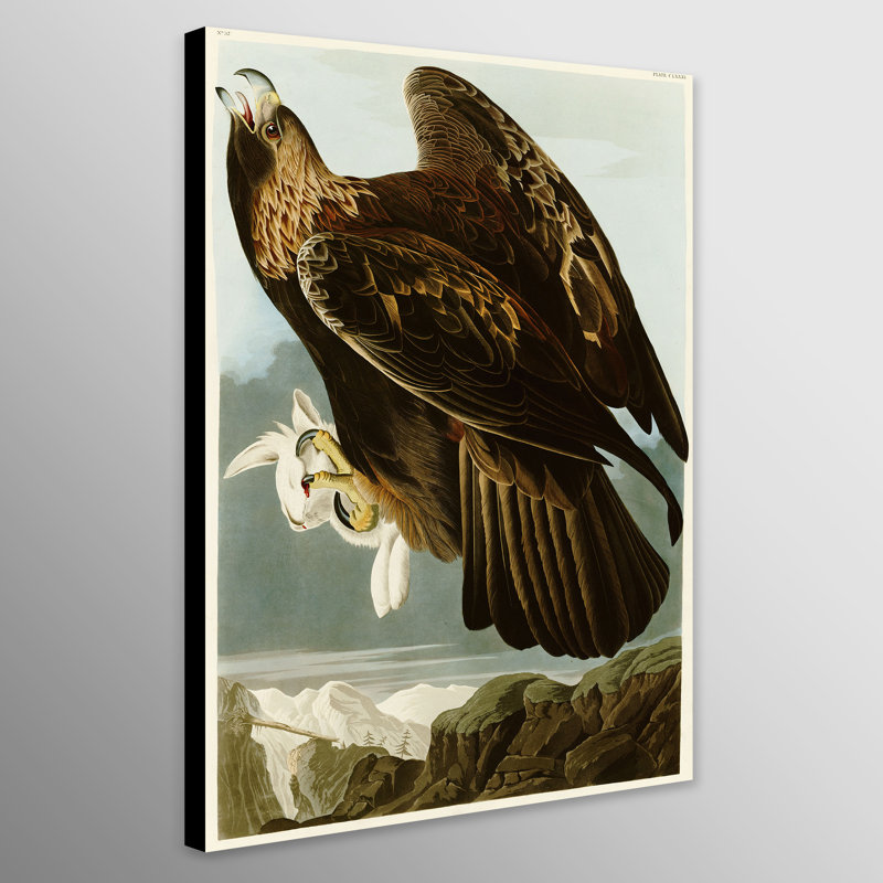 Golden Eagle by John James Audubon - Wrapped Canvas Art Prints, 41cm H x 31cm W
