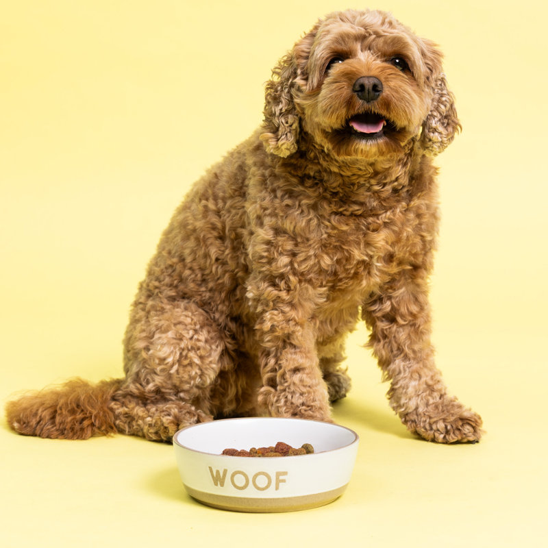 Mason Cash: bol pour chien Wouf - 5,9 po, 18,6 oz - crème et brun clair - plat en céramique durable pour aliments et eau, va au micro-ondes et au lave-vaisselle, alimentation et hydratation des repas pour animaux de compagnie