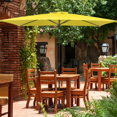Darcie-Mai 120 " W Rectangular Tilt Market Umbrella with Crank Lift