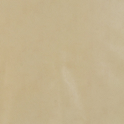 Delaney Design Fabric