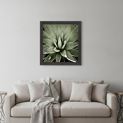 Green Succulent III Brown Framed Print Wall Art