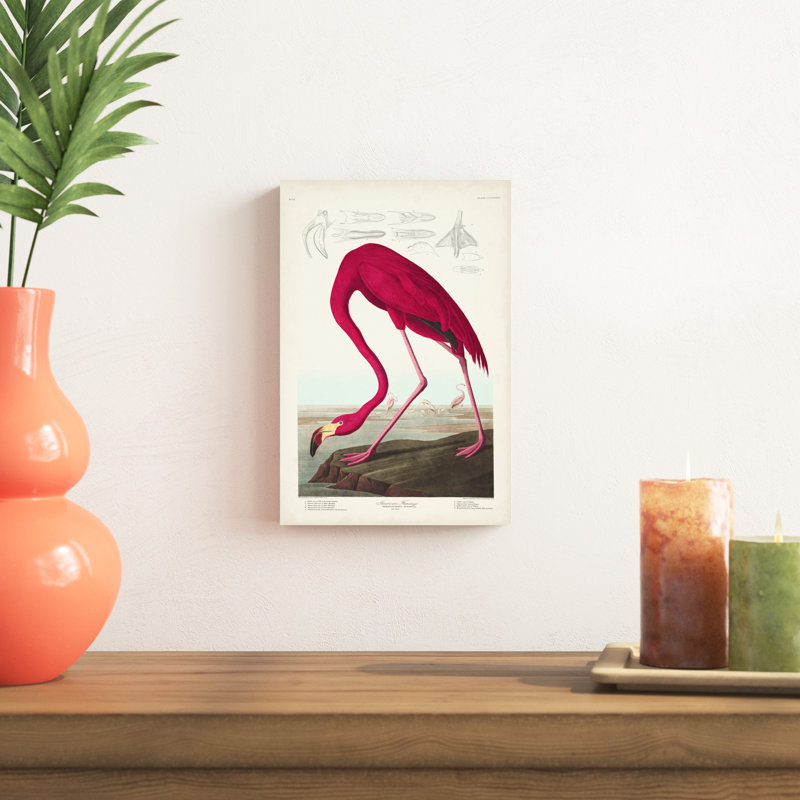 Pl 431 flamant américain, H 12 po x l 8 po