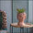 Visage Head Bust Planter Home Wall Planter