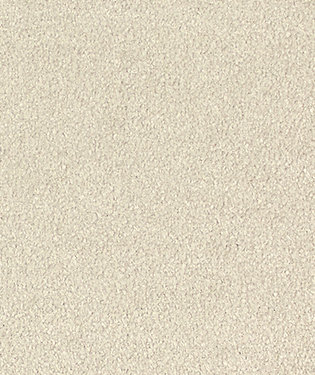 Starlight Fabric