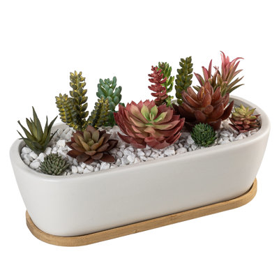Indoor Ceramic Flower Pot Planter
