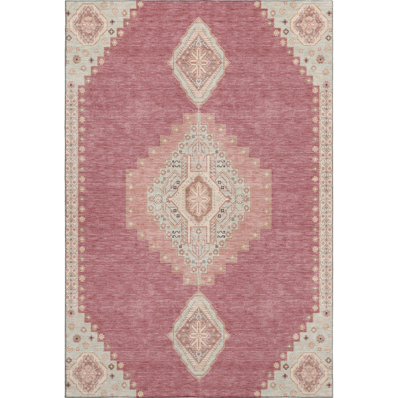 Premium Machine Washable Colmenero AMF1014 Oriental Rug, Rectangle 5' x 7'6"