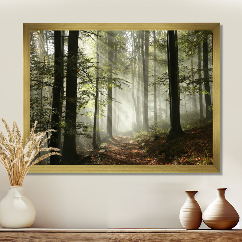 Forest Canvas Wall Art - Forg Light in The Forest Print, 30" H x 40" W, Framed Print, Gold