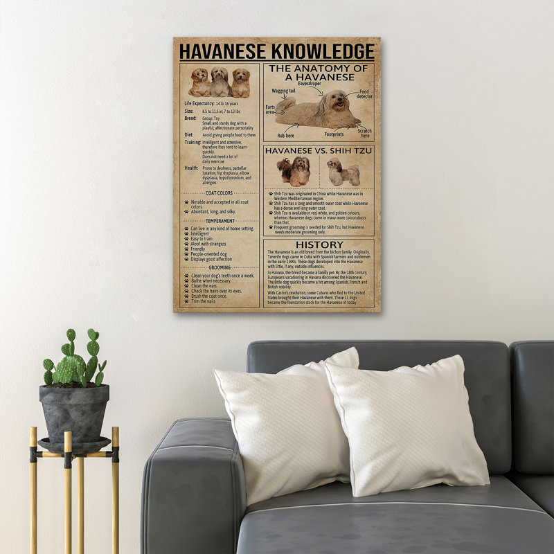 «Connaissances sur les chiens - Connaissances havanaises», reproduction d'art graphique sur toile tendue