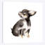 « long-cheveu chihuahua », reproduction sur toile-31855646