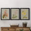«Botanical Array I», ensemble de 3 impressions sur toile encadrées-1436849548-1436849648
