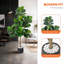 120cm Plant