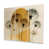 Frameless Metal Print is unavailable