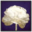 Violet violet, fleur de luxe - impression-72525452-72525451