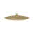 Brushed Gold is out of stock selected