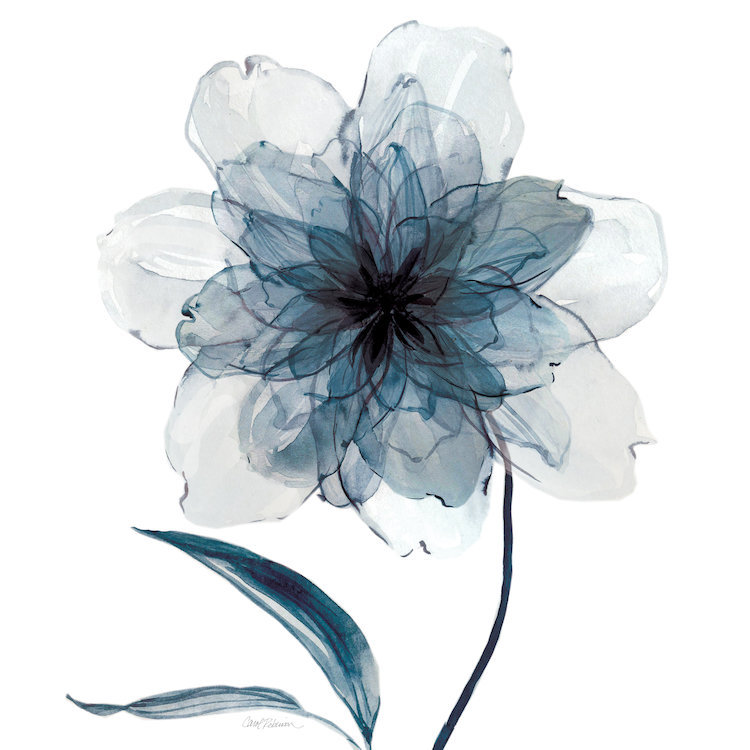 «Indigo Bloom II», impression sur toile, H 12 po x l 12 po x P 1,5 po, Toile tendue, Pas de tapis