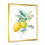 Art mural sur toile, "Citron de cuisine", impression de citron rétro - Floursack Lemon II-48299419-48299420