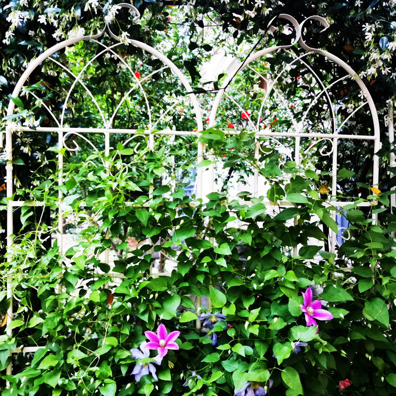 Paquet de 2 treillis de jardin en métal antirouille de 71 po pour plantes grimpantes crème de soutien pour l'extérieur